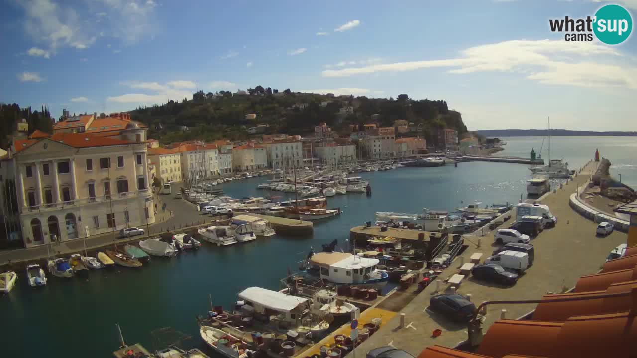 Iz Pirana Spletna kamera v živo “Mandrač” – Neverjeten pogled v živo iz Vile Piranesi