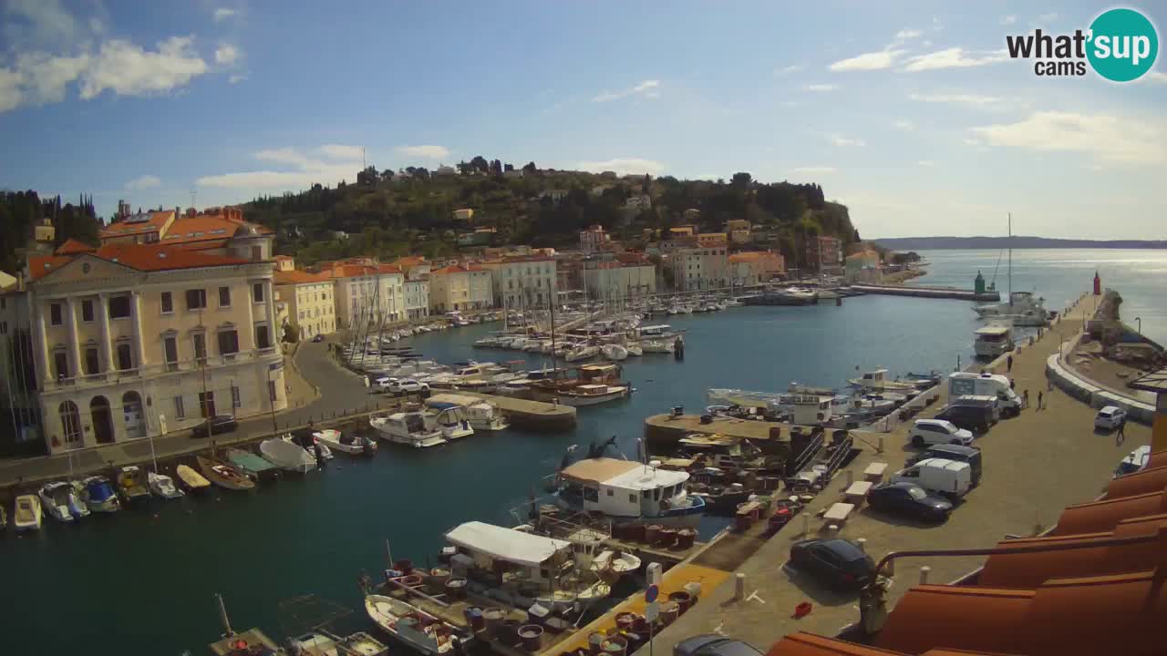 Iz Pirana Spletna kamera v živo “Mandrač” – Neverjeten pogled v živo iz Vile Piranesi