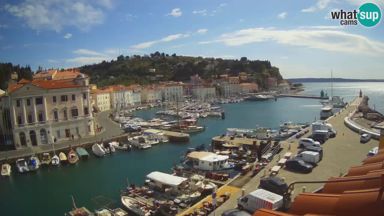 Iz Pirana Spletna kamera v živo “Mandrač” – Neverjeten pogled v živo iz Vile Piranesi