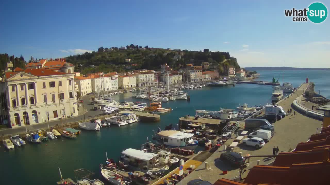 Iz Pirana Spletna kamera v živo “Mandrač” – Neverjeten pogled v živo iz Vile Piranesi