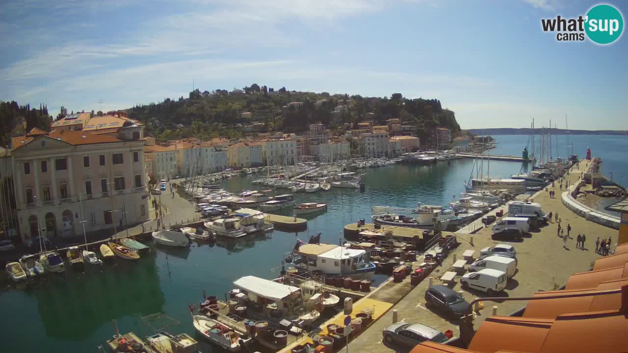 Iz Pirana Spletna kamera v živo “Mandrač” – Neverjeten pogled v živo iz Vile Piranesi