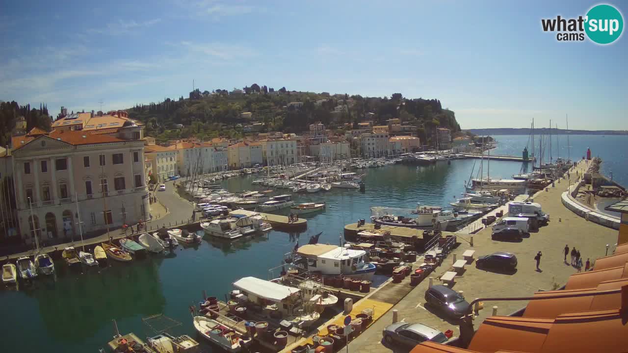 Live webcam da Pirano “Mandrač” – Splendida vista live da Villa Piranesi