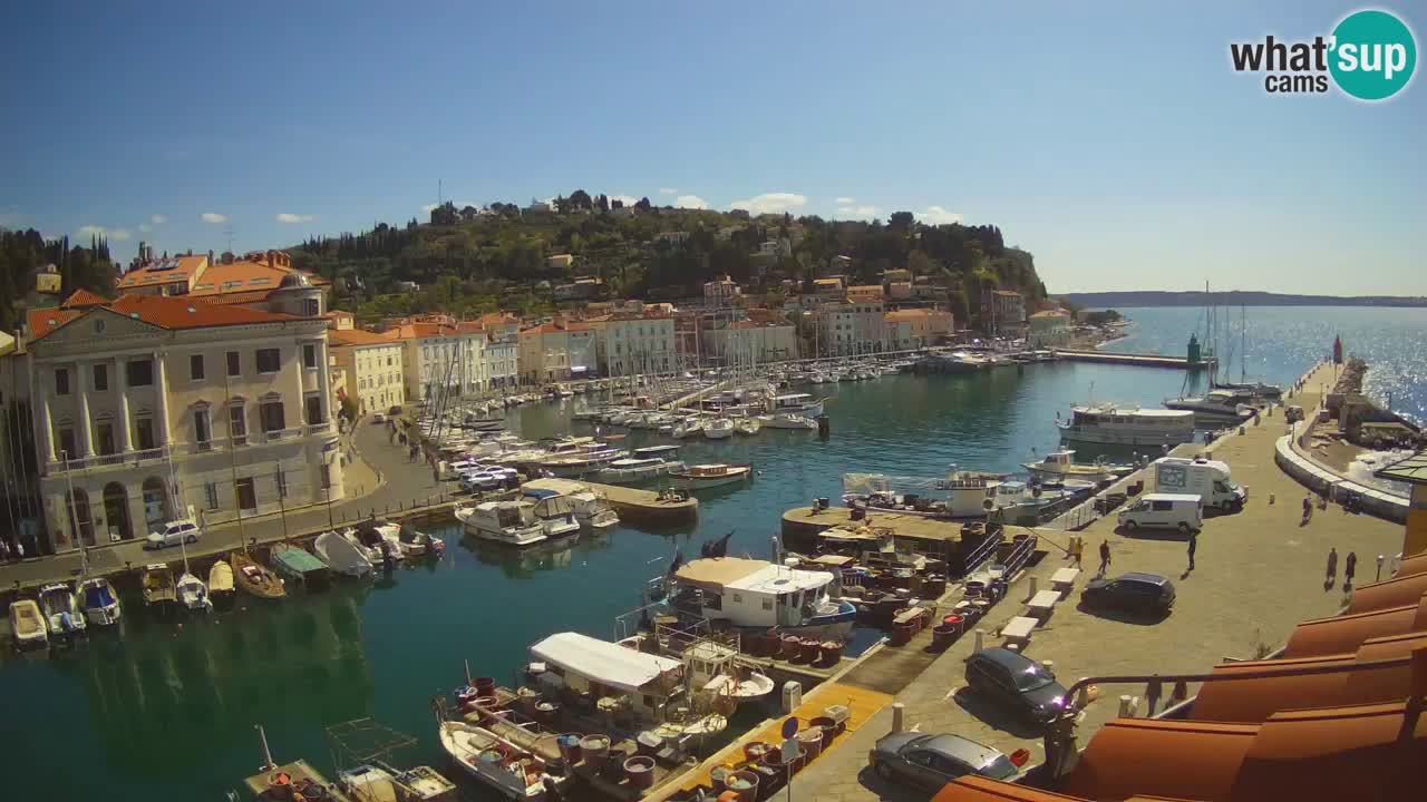 Web kamera uživo iz Pirana “Mandrač” – Nevjerojatan pogled uživo iz Ville Piranesi