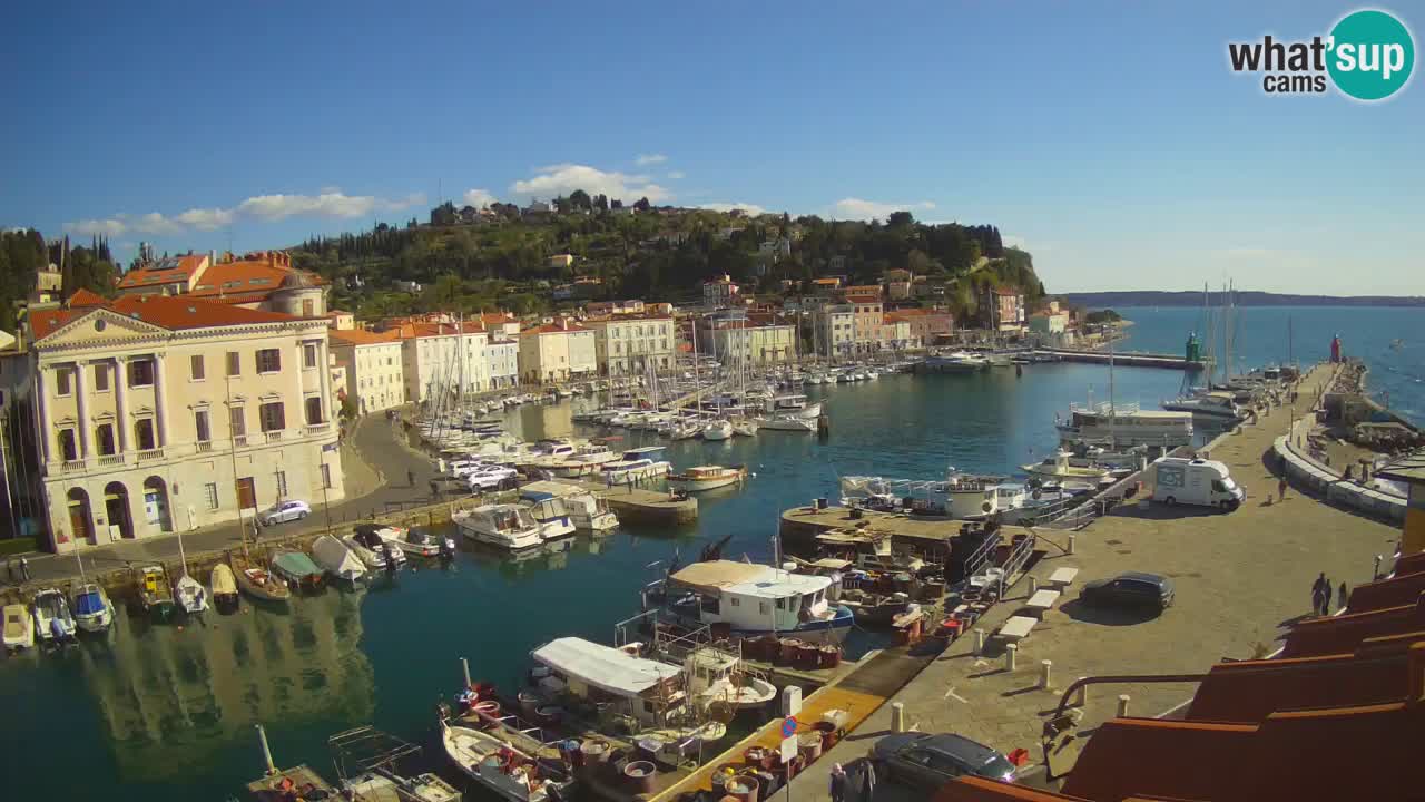 Web kamera uživo iz Pirana “Mandrač” – Nevjerojatan pogled uživo iz Ville Piranesi