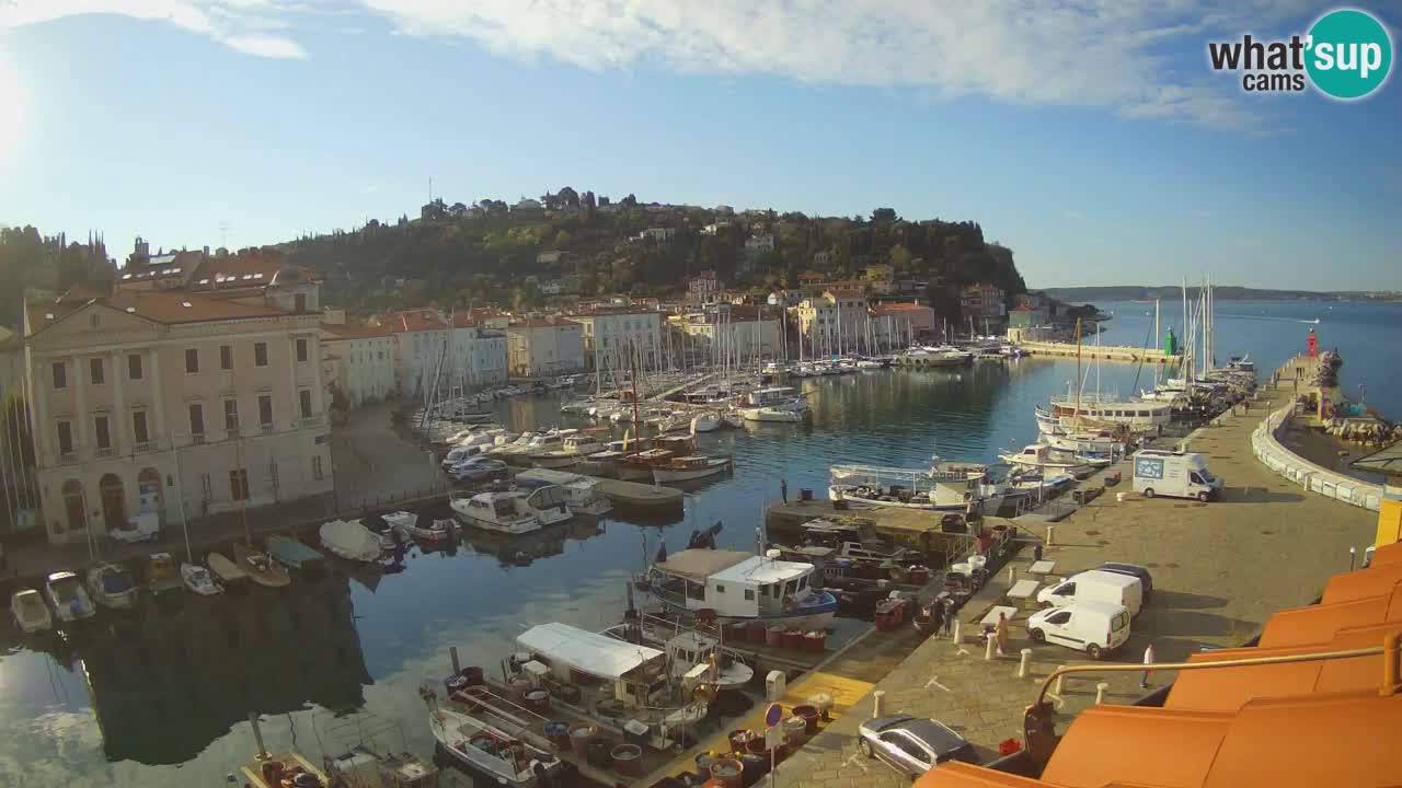 Iz Pirana Spletna kamera v živo “Mandrač” – Neverjeten pogled v živo iz Vile Piranesi