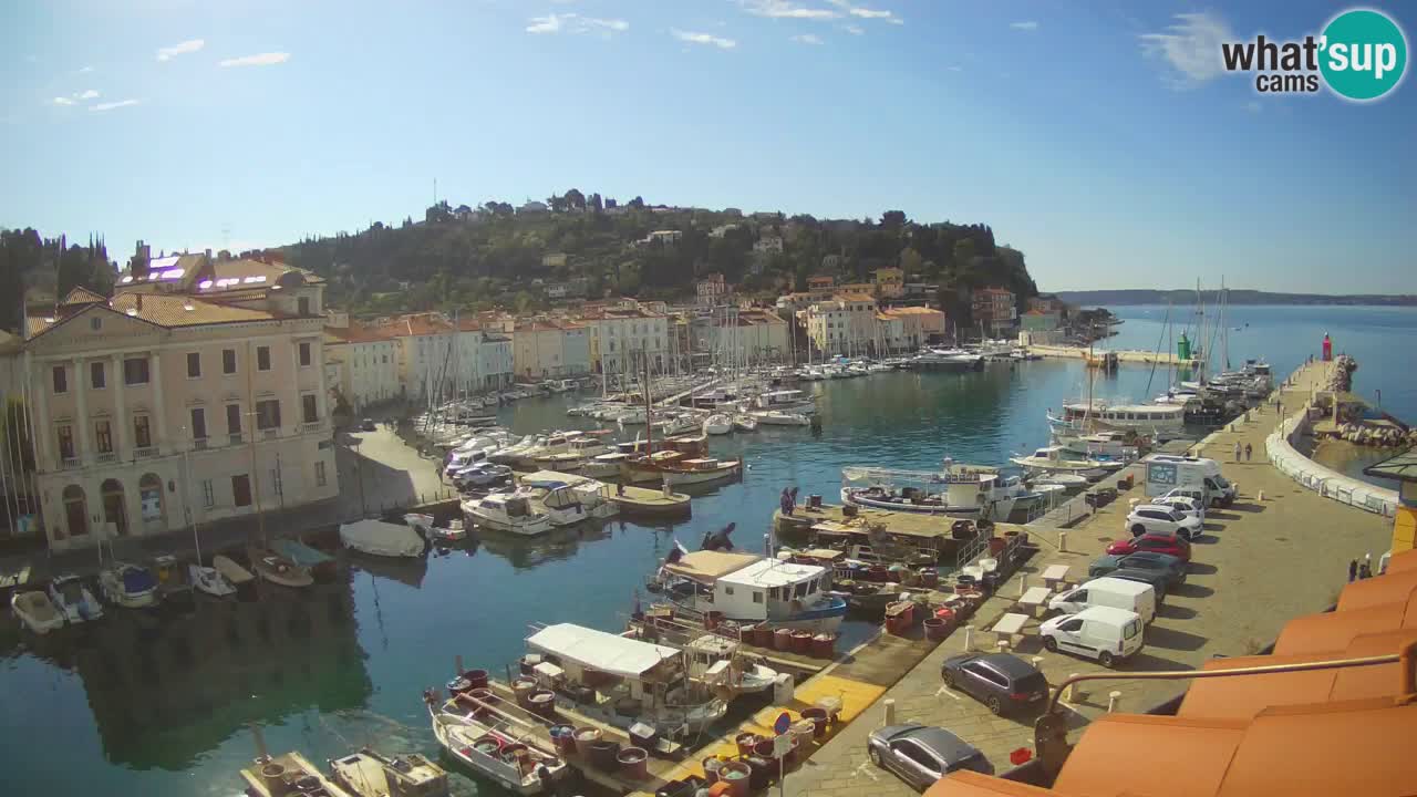 Live webcam da Pirano “Mandrač” – Splendida vista live da Villa Piranesi