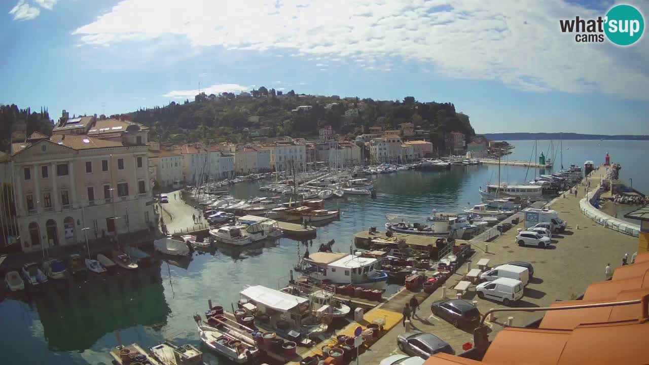 Web kamera uživo iz Pirana “Mandrač” – Nevjerojatan pogled uživo iz Ville Piranesi