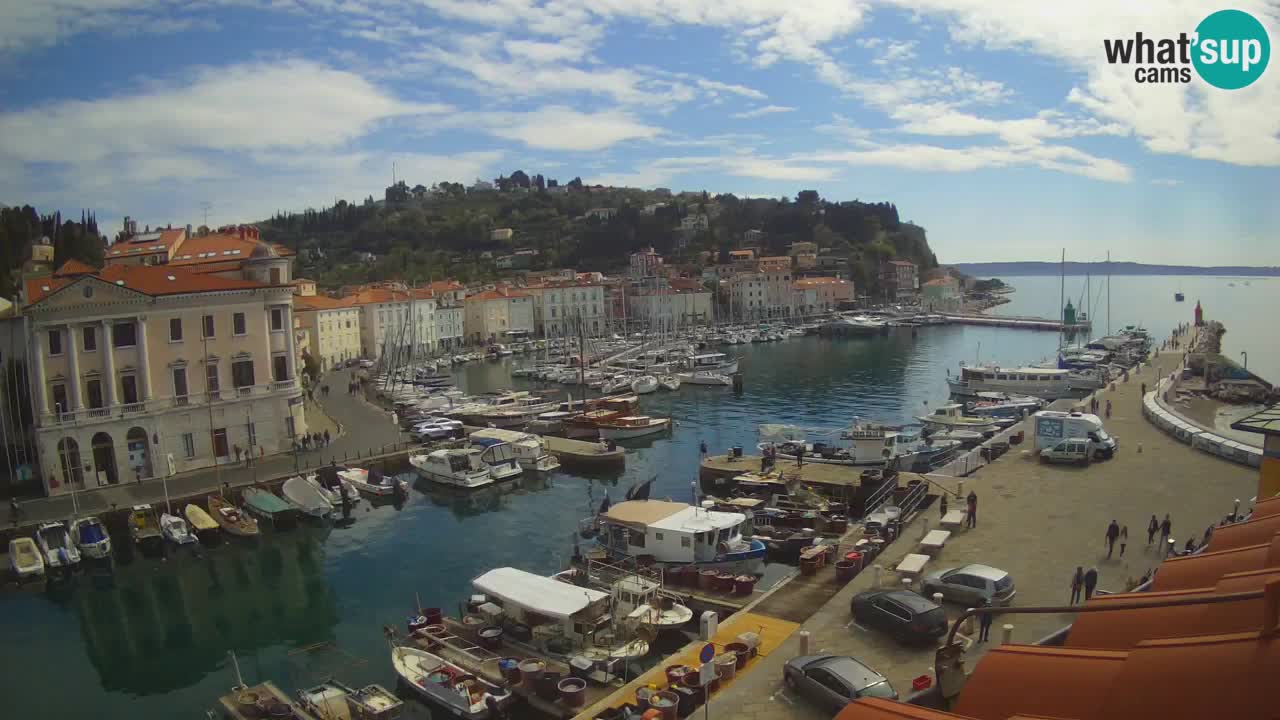 Live-Webcam aus Piran “Mandrač” – Erstaunliche Live-Ansicht von Villa Piranesi