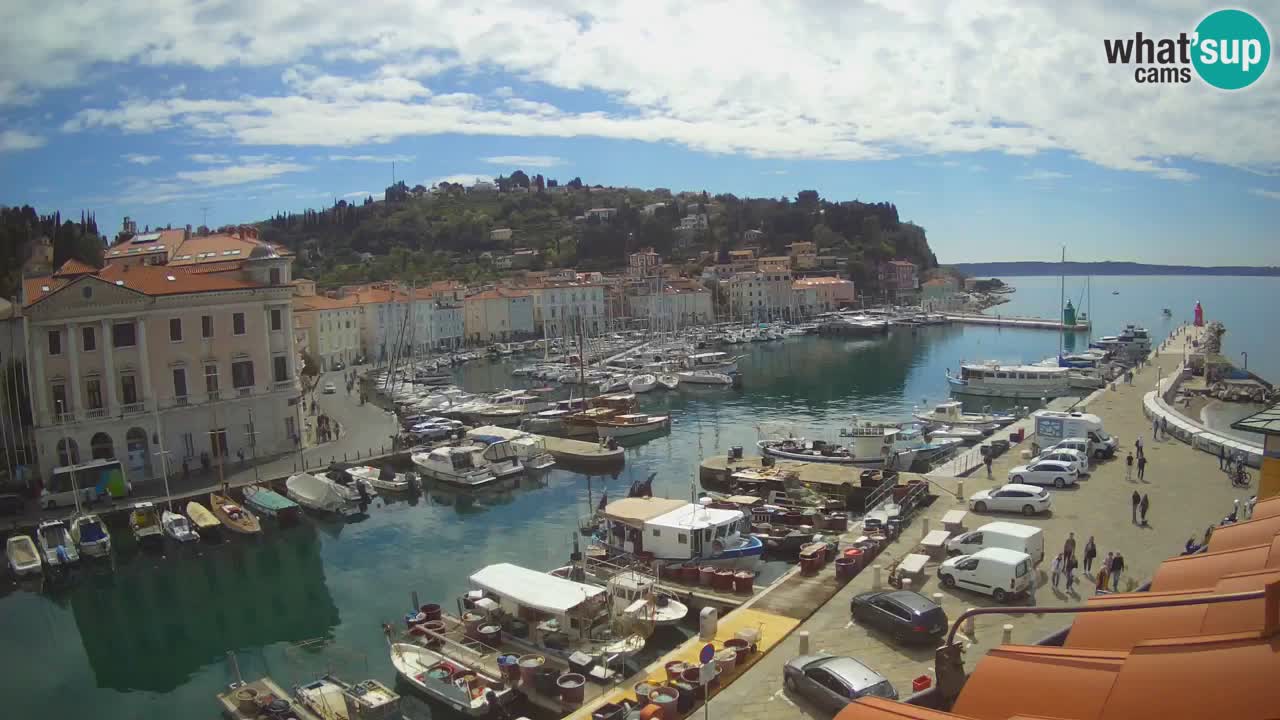 Iz Pirana Spletna kamera v živo “Mandrač” – Neverjeten pogled v živo iz Vile Piranesi