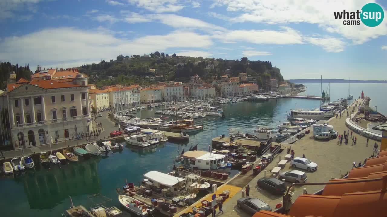 Webcam en direct de Piran “Mandrač” – Incroyable vue en direct de la Villa Piranesi