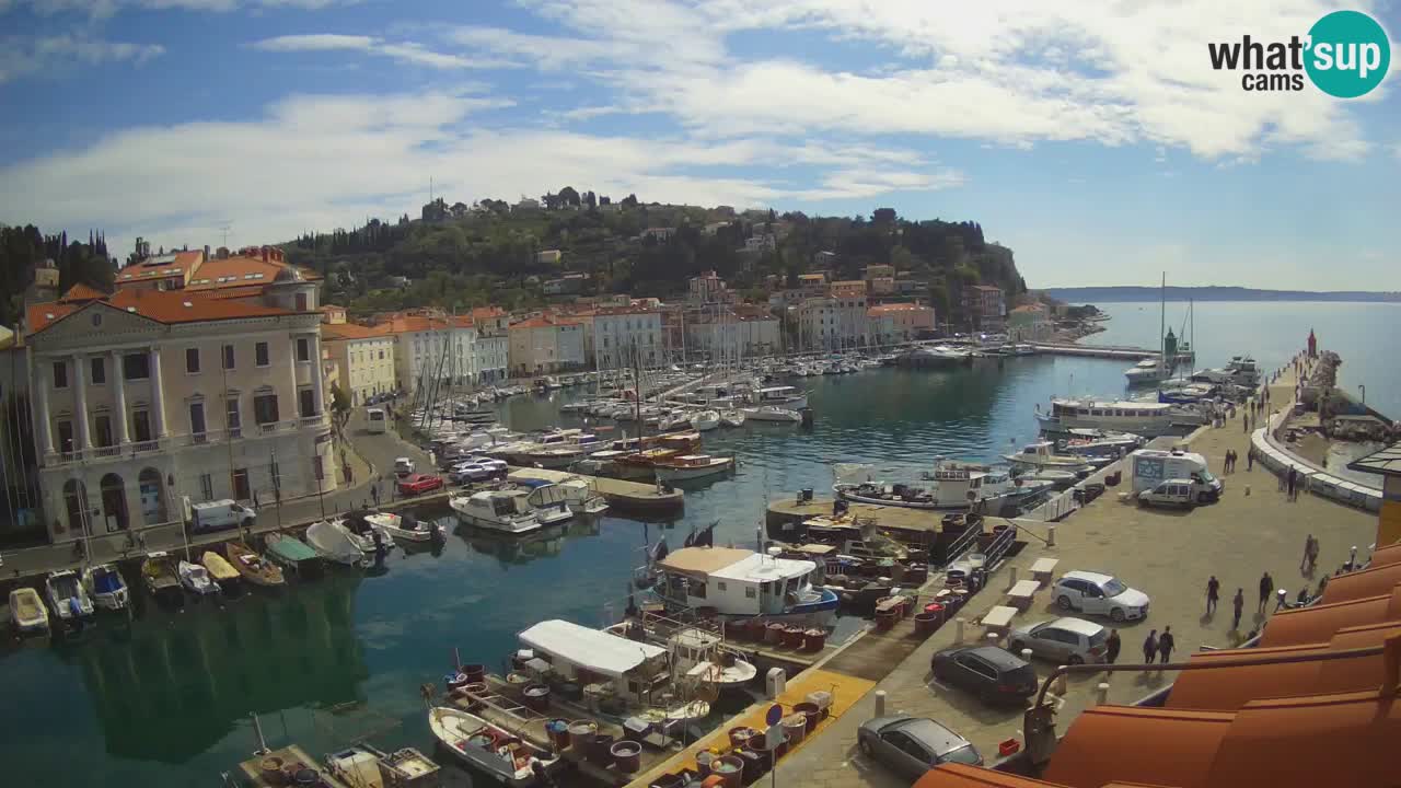 Iz Pirana Spletna kamera v živo “Mandrač” – Neverjeten pogled v živo iz Vile Piranesi