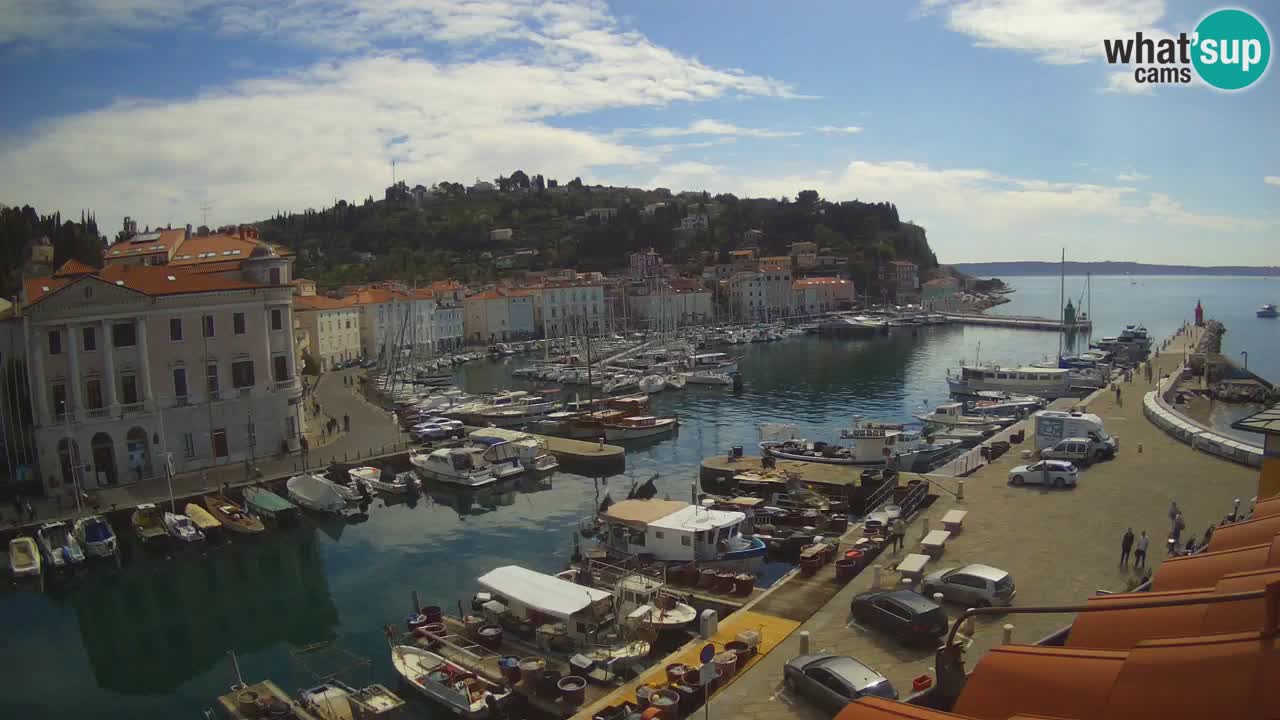 Live webcam da Pirano “Mandrač” – Splendida vista live da Villa Piranesi