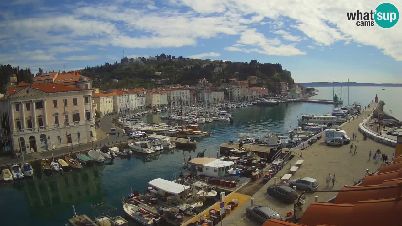 Webcam en direct de Piran “Mandrač” – Incroyable vue en direct de la Villa Piranesi
