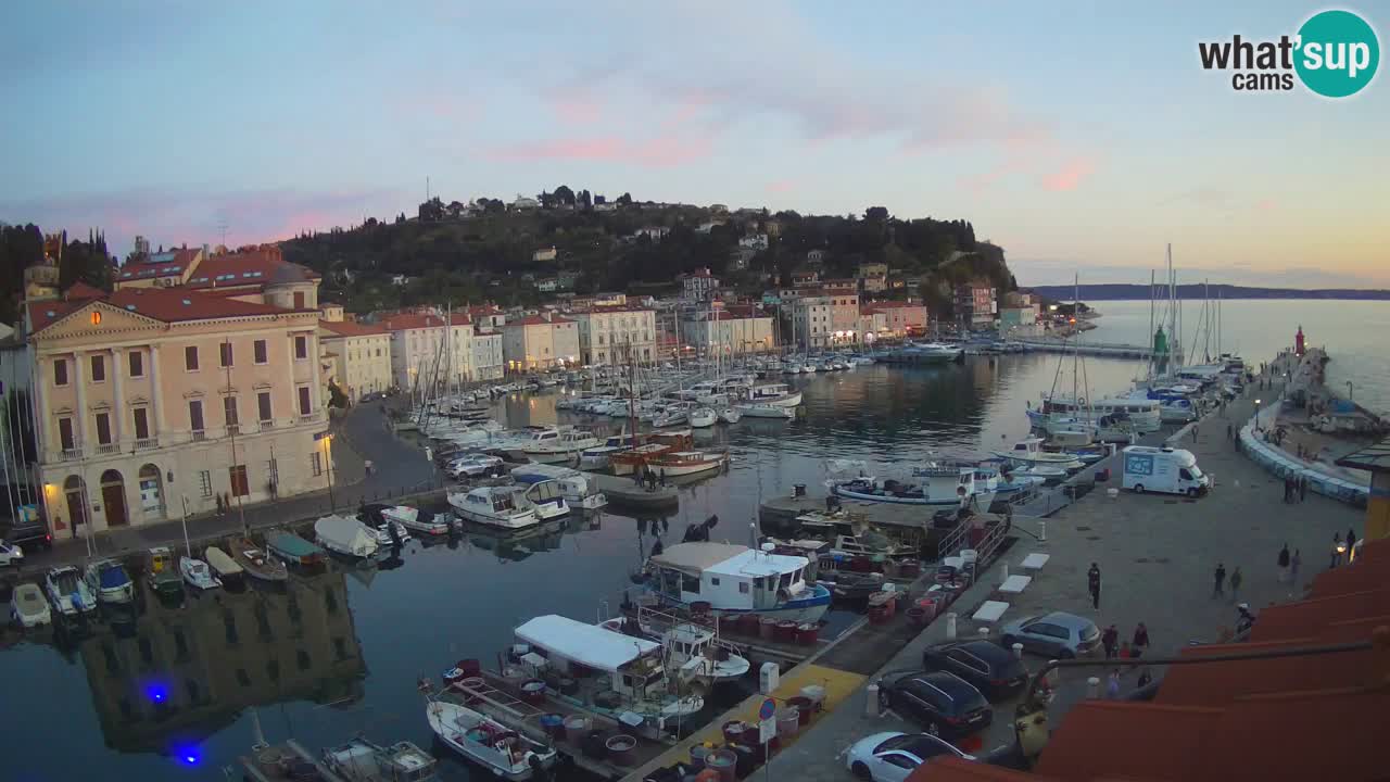 Iz Pirana Spletna kamera v živo “Mandrač” – Neverjeten pogled v živo iz Vile Piranesi