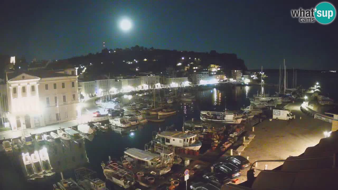 Web kamera uživo iz Pirana “Mandrač” – Nevjerojatan pogled uživo iz Ville Piranesi