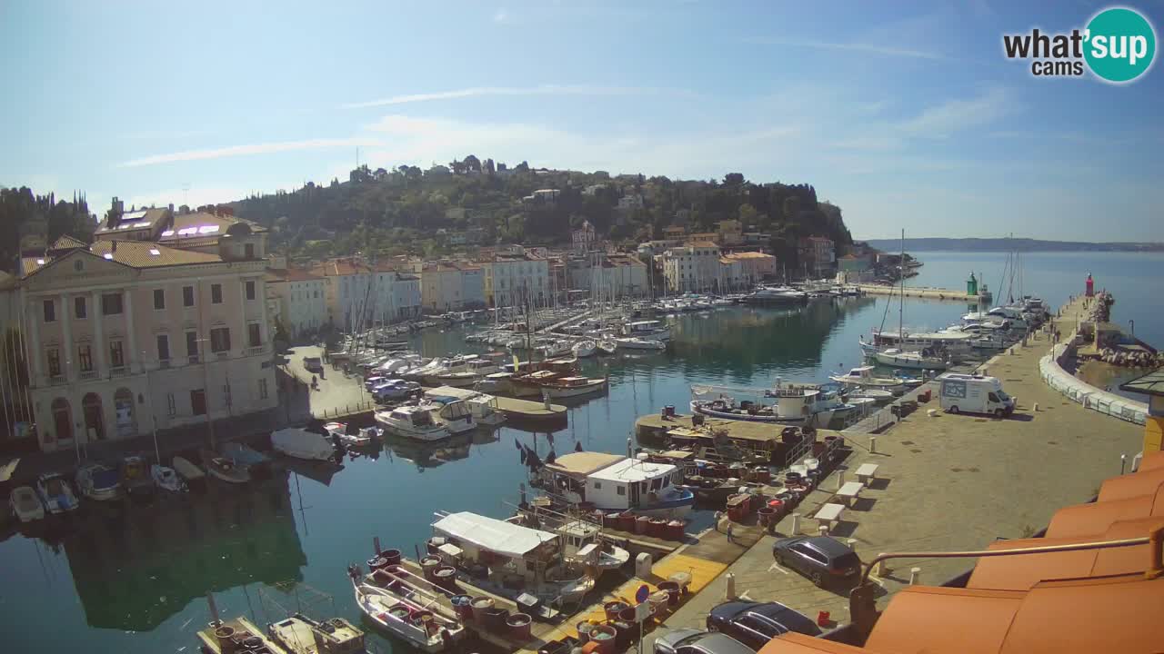 Web kamera uživo iz Pirana “Mandrač” – Nevjerojatan pogled uživo iz Ville Piranesi