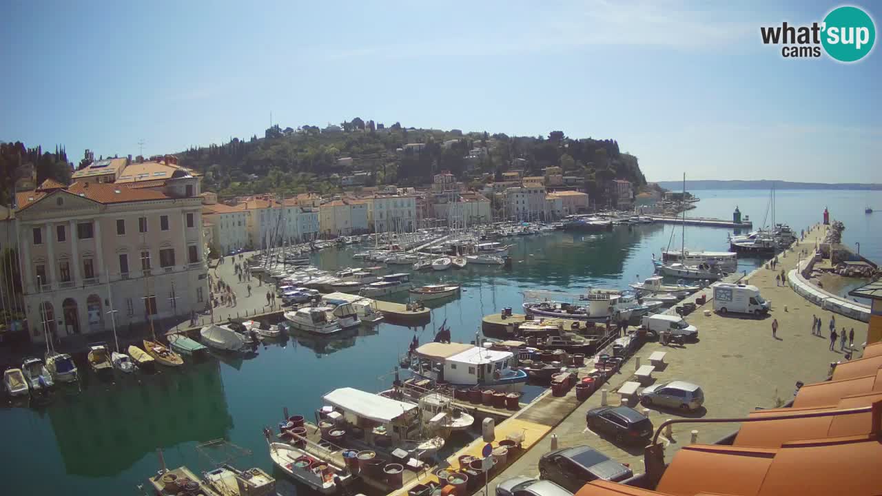 Live webcam da Pirano “Mandrač” – Splendida vista live da Villa Piranesi