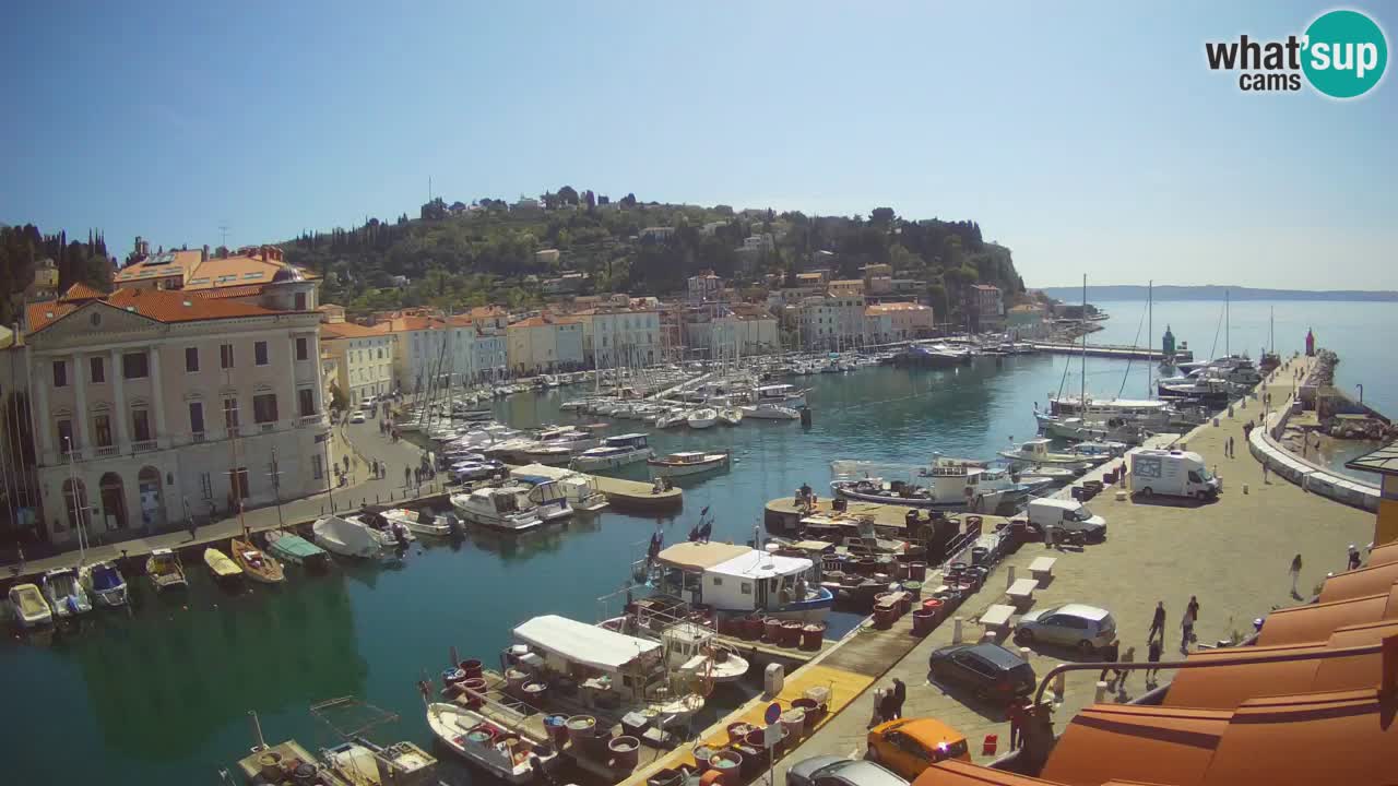 Live-Webcam aus Piran “Mandrač” – Erstaunliche Live-Ansicht von Villa Piranesi