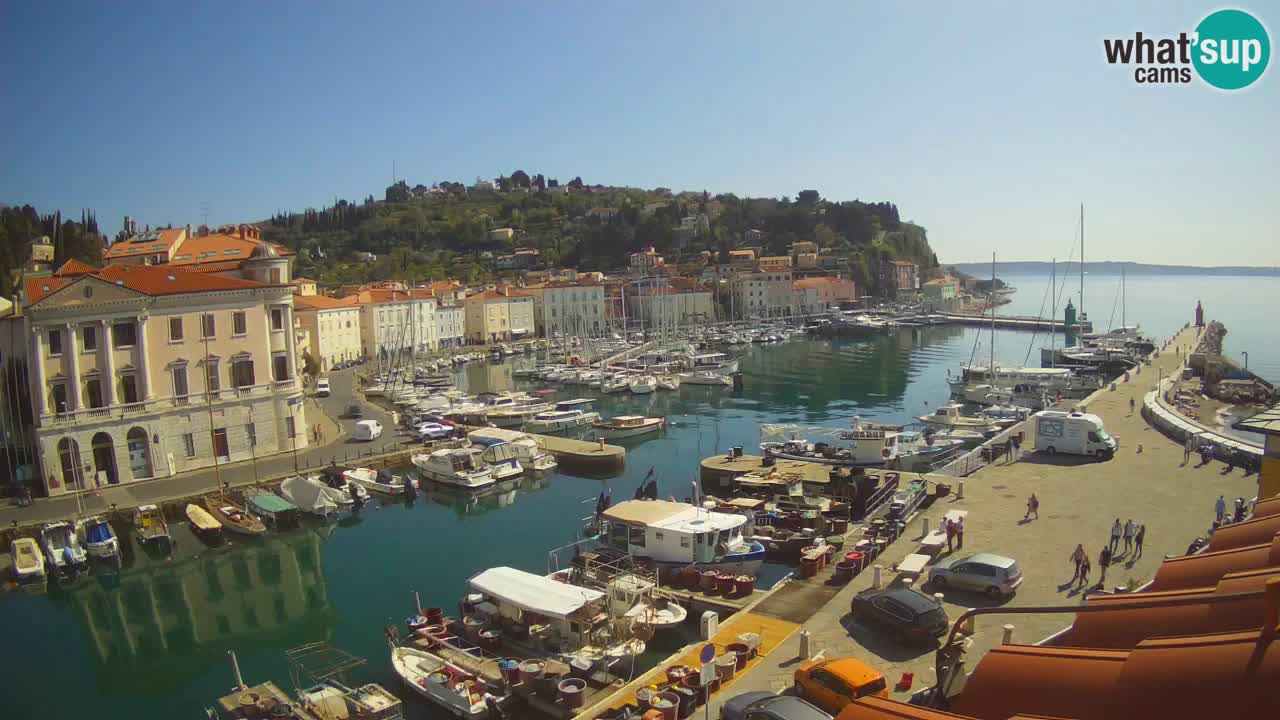 Live webcam da Pirano “Mandrač” – Splendida vista live da Villa Piranesi