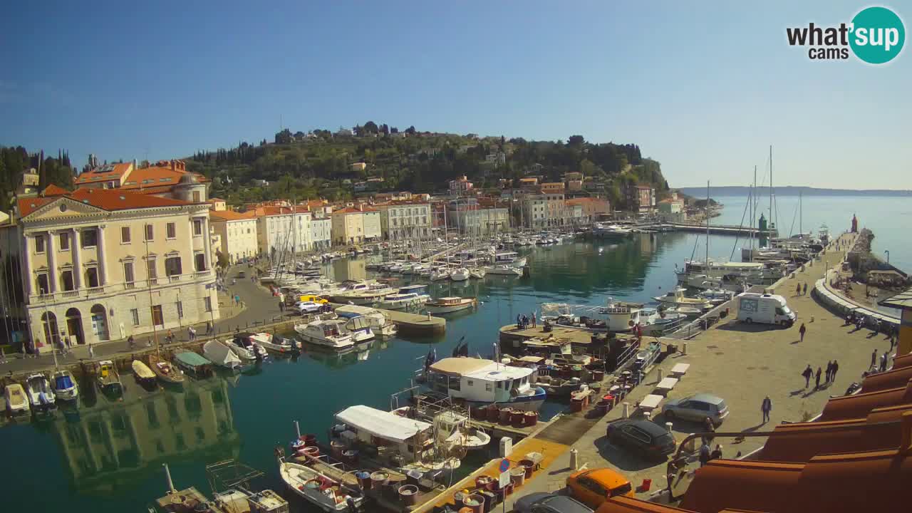 Live webcam da Pirano “Mandrač” – Splendida vista live da Villa Piranesi