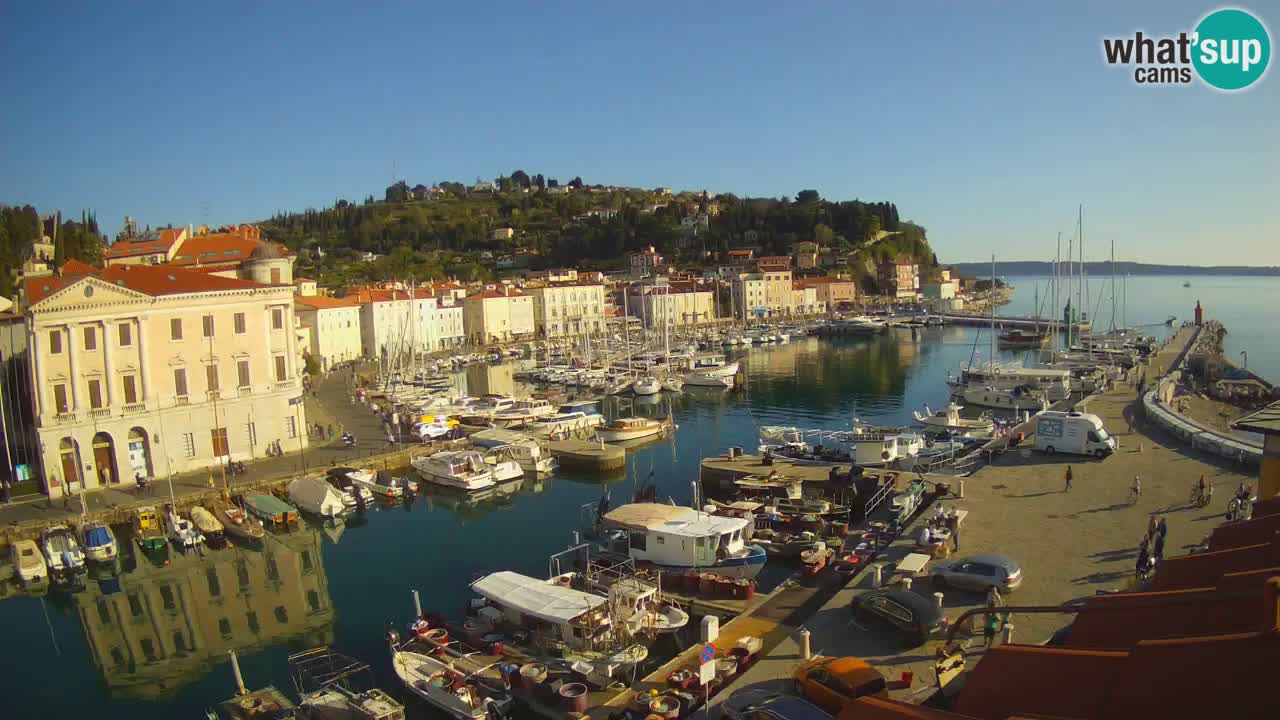 Live webcam da Pirano “Mandrač” – Splendida vista live da Villa Piranesi