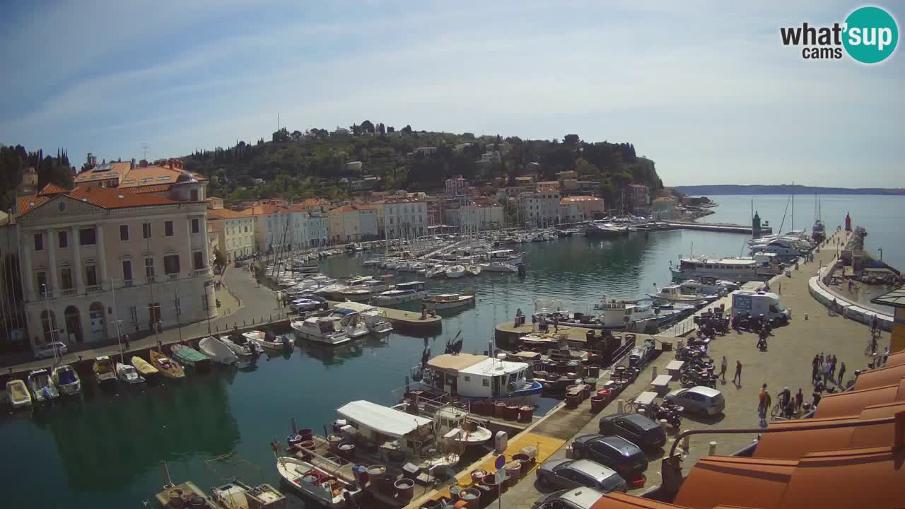 Web kamera uživo iz Pirana “Mandrač” – Nevjerojatan pogled uživo iz Ville Piranesi