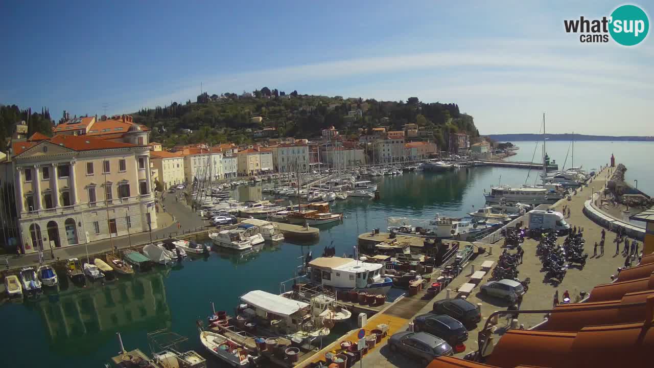 Web kamera uživo iz Pirana “Mandrač” – Nevjerojatan pogled uživo iz Ville Piranesi