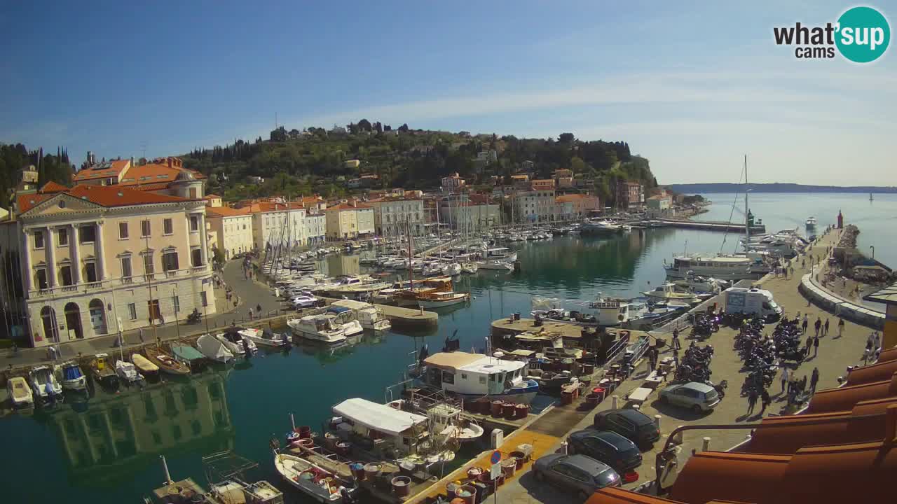 Live webcam from Piran “Mandrač” – Amazing live view from Villa Piranesi
