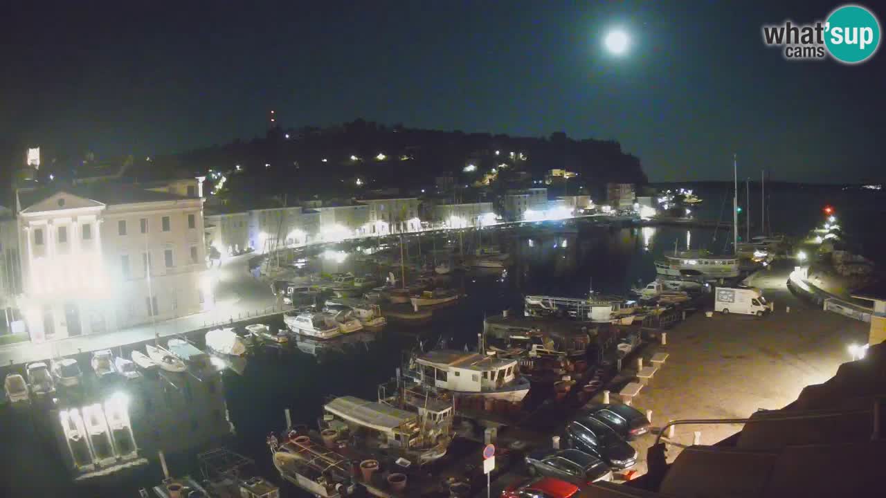 Iz Pirana Spletna kamera v živo “Mandrač” – Neverjeten pogled v živo iz Vile Piranesi