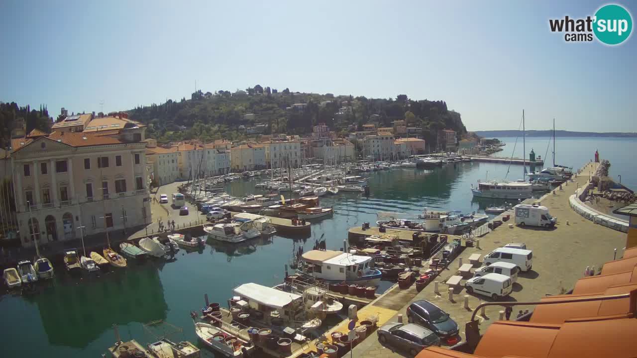 Iz Pirana Spletna kamera v živo “Mandrač” – Neverjeten pogled v živo iz Vile Piranesi