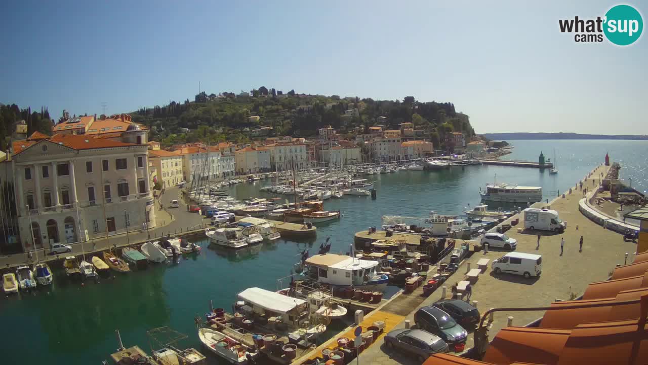 Iz Pirana Spletna kamera v živo “Mandrač” – Neverjeten pogled v živo iz Vile Piranesi