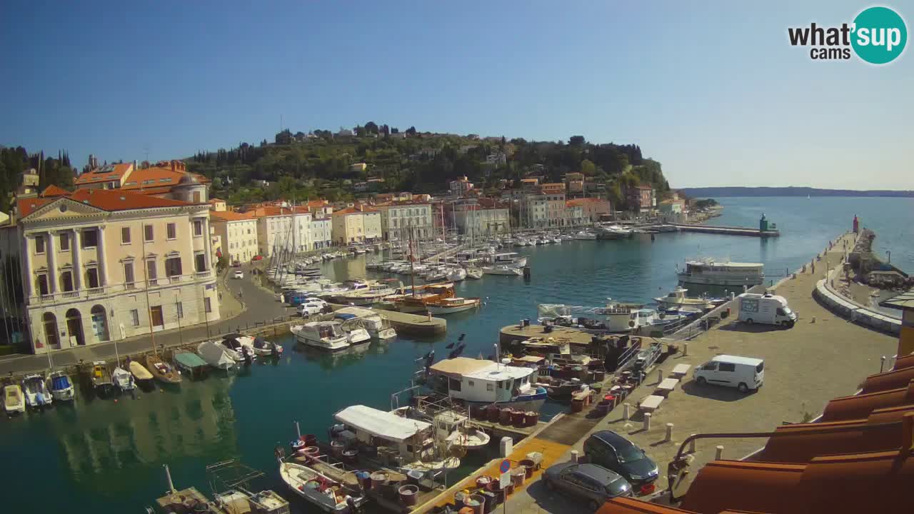 Iz Pirana Spletna kamera v živo “Mandrač” – Neverjeten pogled v živo iz Vile Piranesi