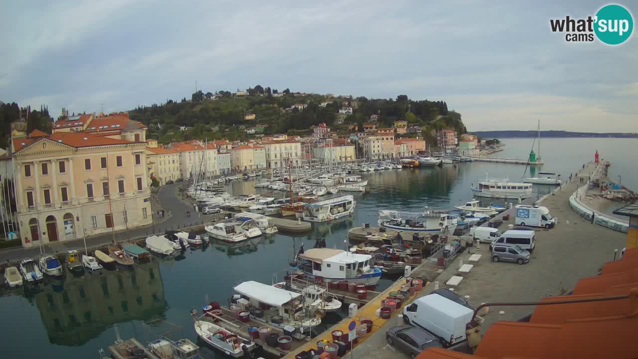 Live-Webcam aus Piran “Mandrač” – Erstaunliche Live-Ansicht von Villa Piranesi