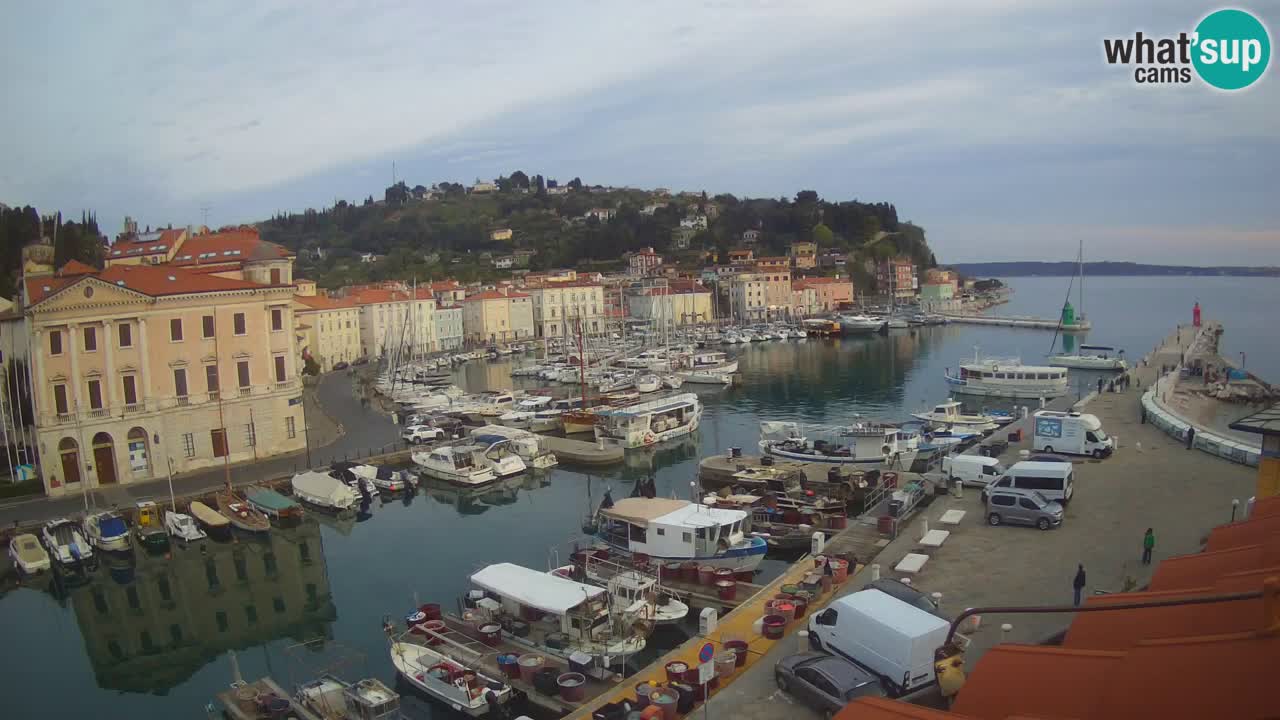 Live webcam da Pirano “Mandrač” – Splendida vista live da Villa Piranesi