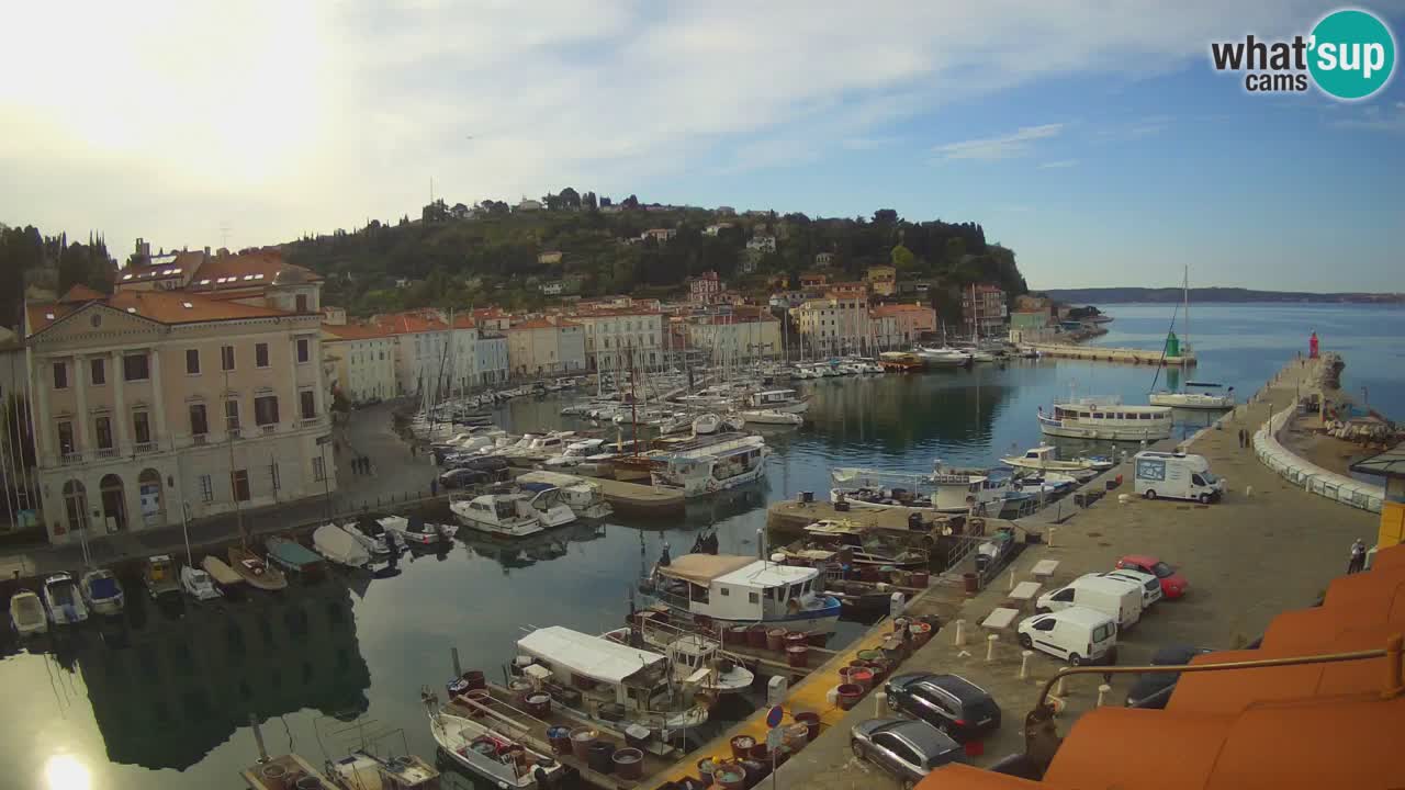 Iz Pirana Spletna kamera v živo “Mandrač” – Neverjeten pogled v živo iz Vile Piranesi