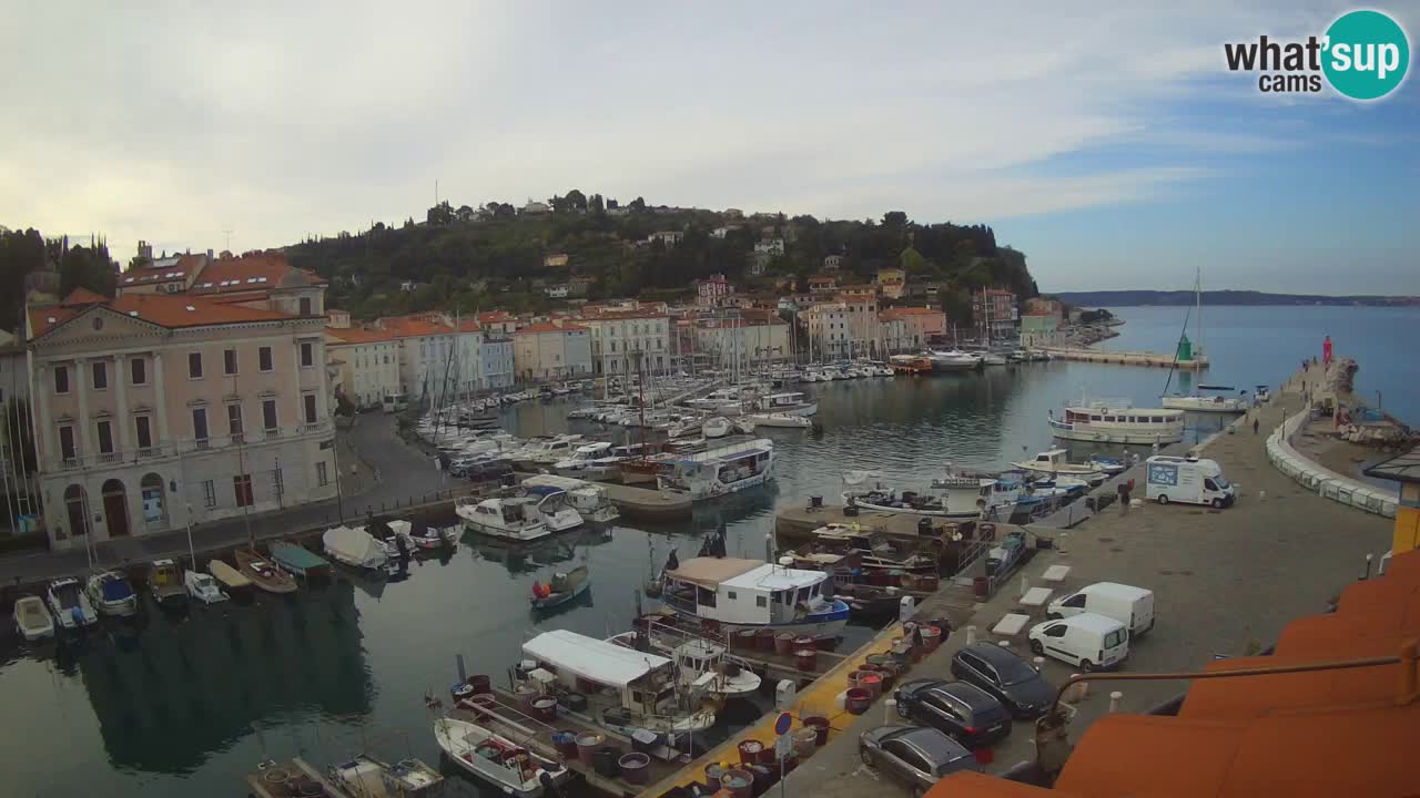 Web kamera uživo iz Pirana “Mandrač” – Nevjerojatan pogled uživo iz Ville Piranesi