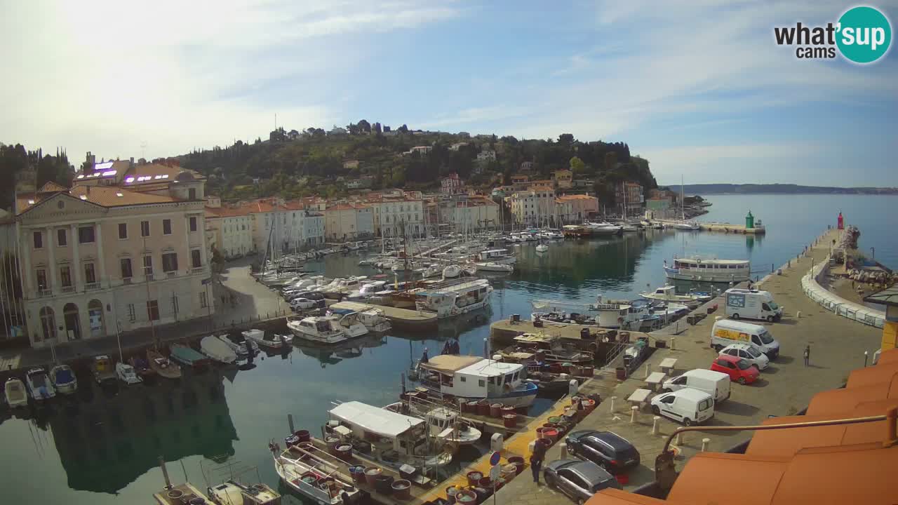 Iz Pirana Spletna kamera v živo “Mandrač” – Neverjeten pogled v živo iz Vile Piranesi