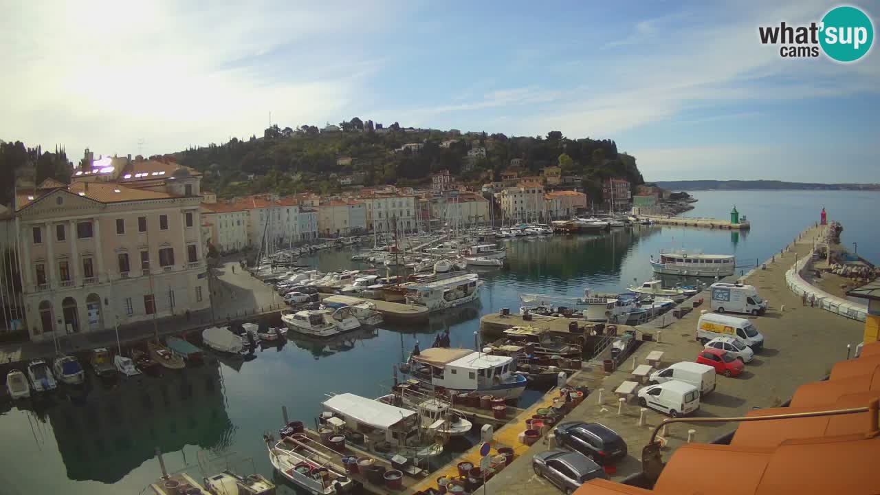 Iz Pirana Spletna kamera v živo “Mandrač” – Neverjeten pogled v živo iz Vile Piranesi