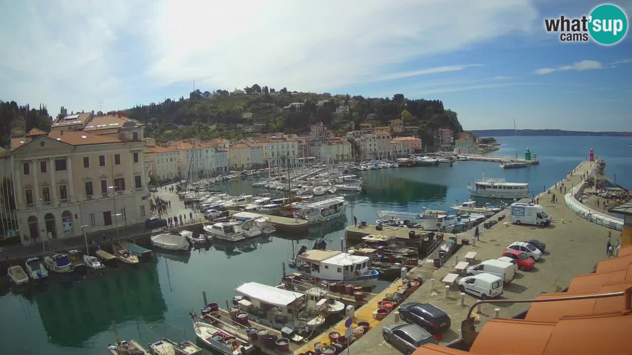 Live-Webcam aus Piran “Mandrač” – Erstaunliche Live-Ansicht von Villa Piranesi
