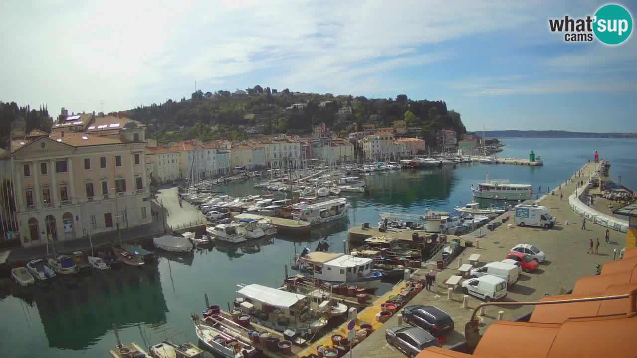 Iz Pirana Spletna kamera v živo “Mandrač” – Neverjeten pogled v živo iz Vile Piranesi