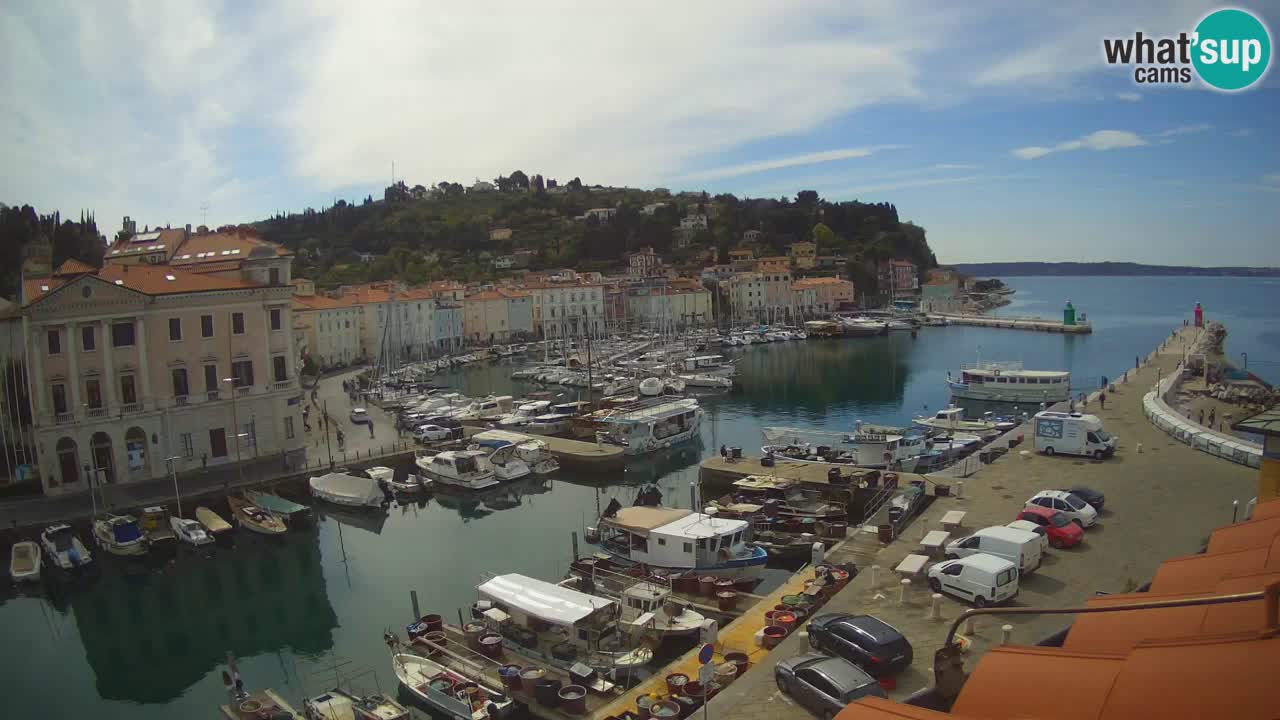Live webcam da Pirano “Mandrač” – Splendida vista live da Villa Piranesi