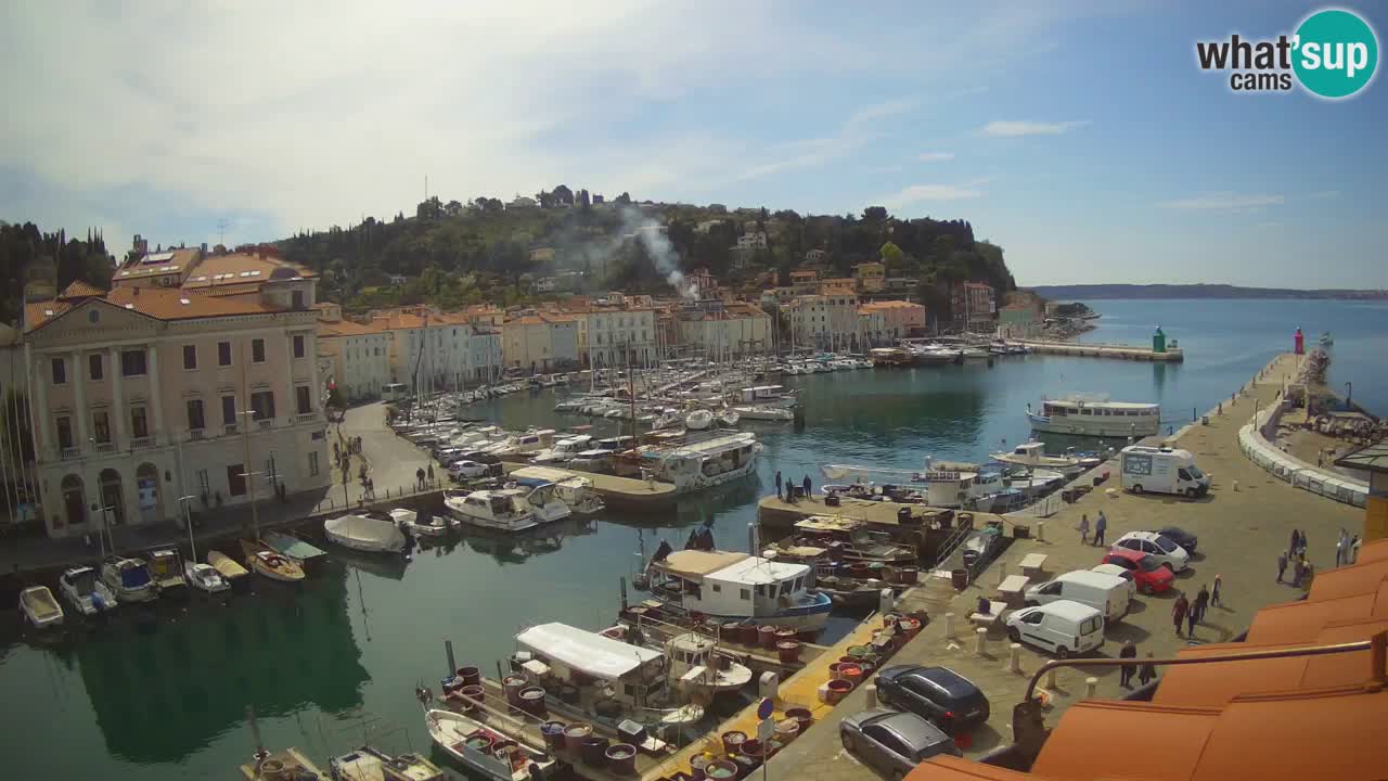 Web kamera uživo iz Pirana “Mandrač” – Nevjerojatan pogled uživo iz Ville Piranesi