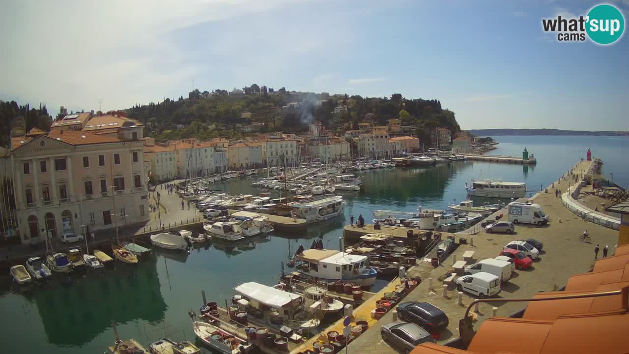 Live webcam da Pirano “Mandrač” – Splendida vista live da Villa Piranesi