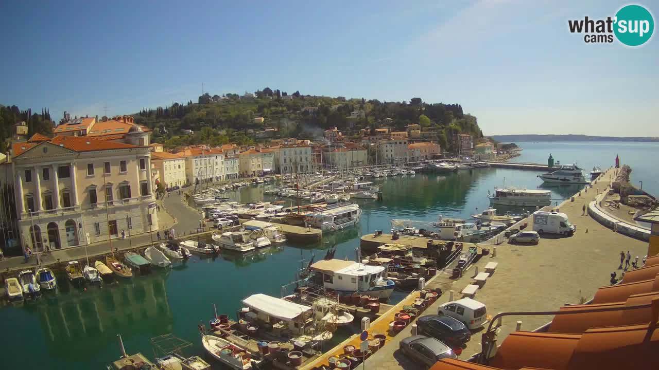 Webcam en direct de Piran “Mandrač” – Incroyable vue en direct de la Villa Piranesi