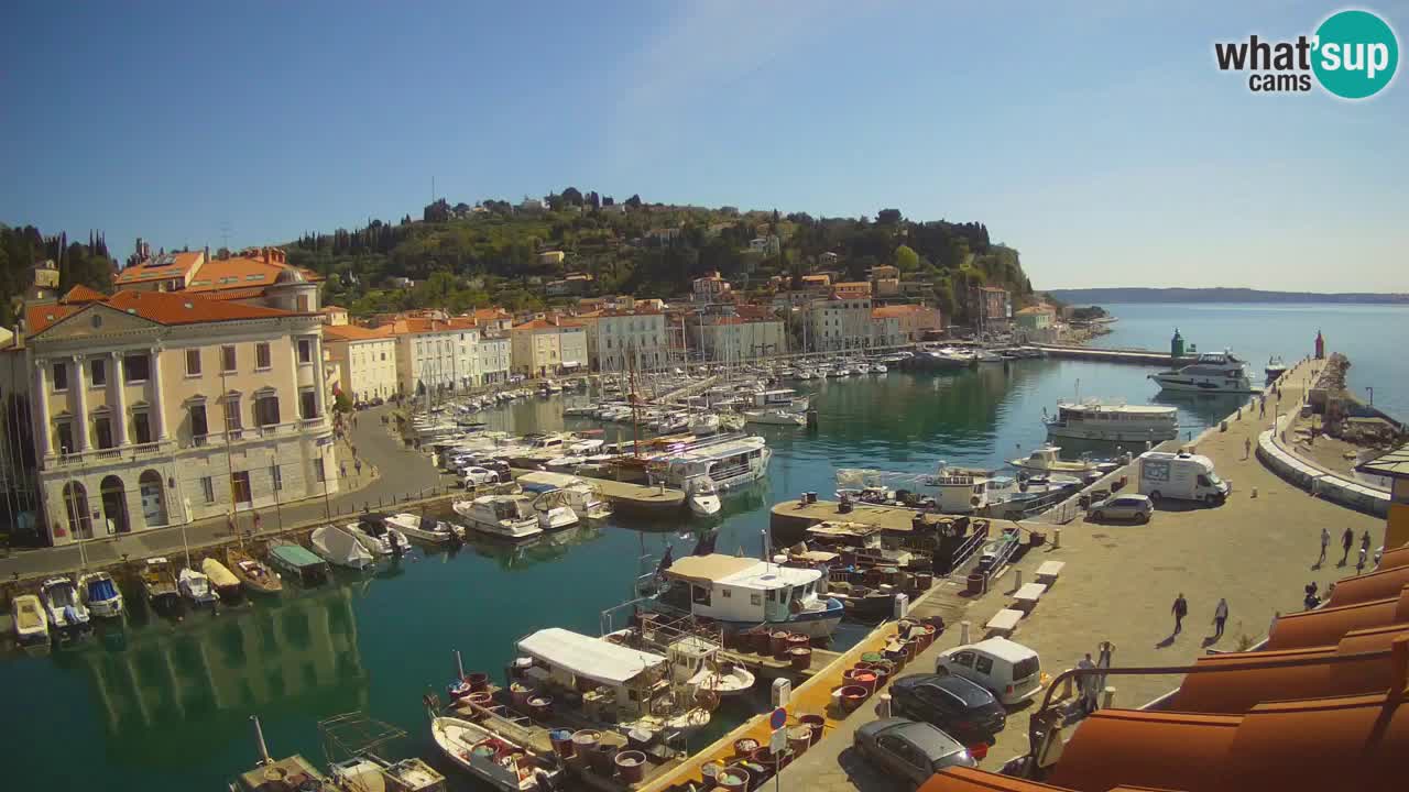 Live webcam da Pirano “Mandrač” – Splendida vista live da Villa Piranesi