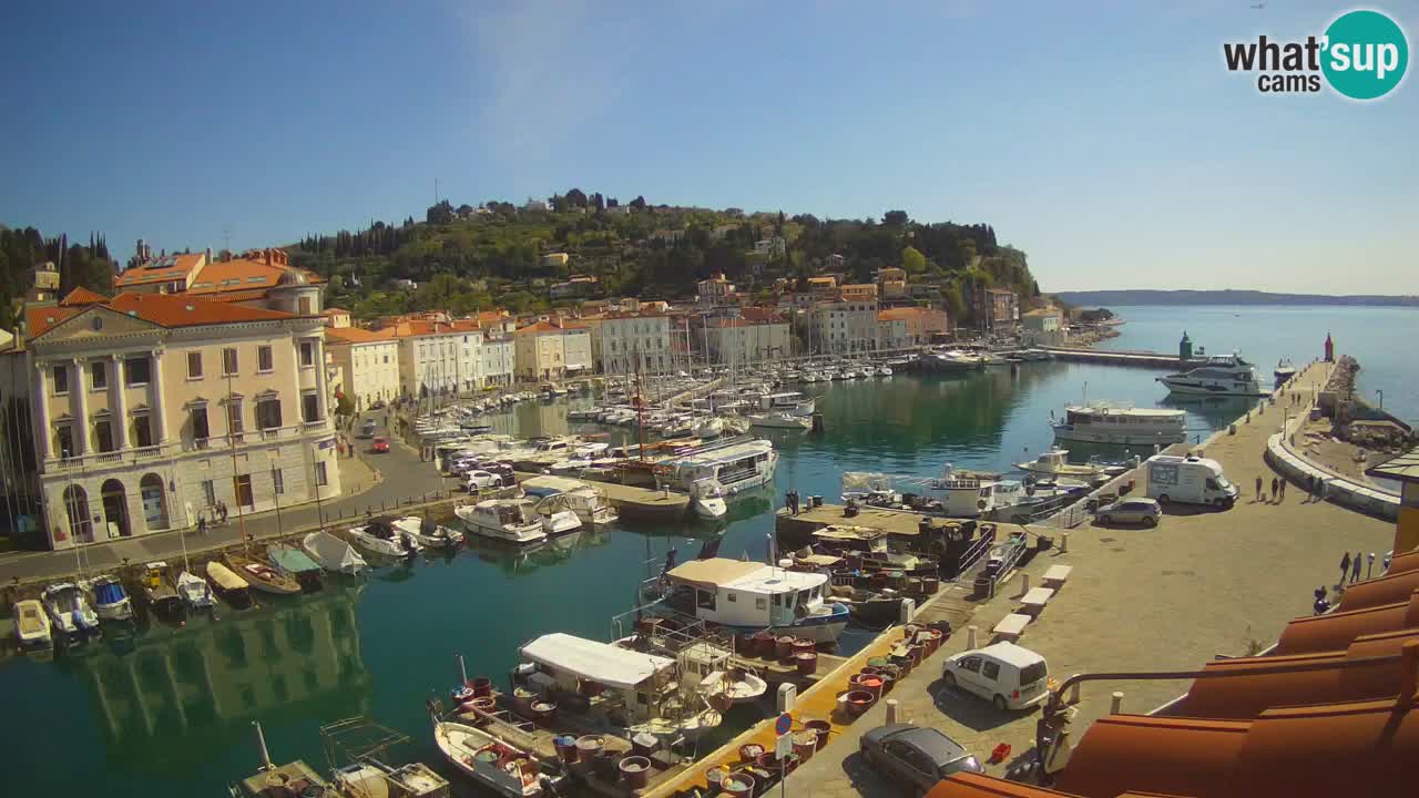 Live-Webcam aus Piran “Mandrač” – Erstaunliche Live-Ansicht von Villa Piranesi