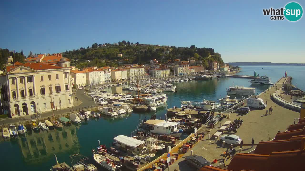 Live webcam da Pirano “Mandrač” – Splendida vista live da Villa Piranesi