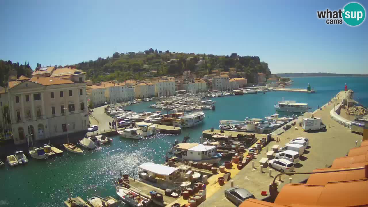 Live webcam da Pirano “Mandrač” – Splendida vista live da Villa Piranesi