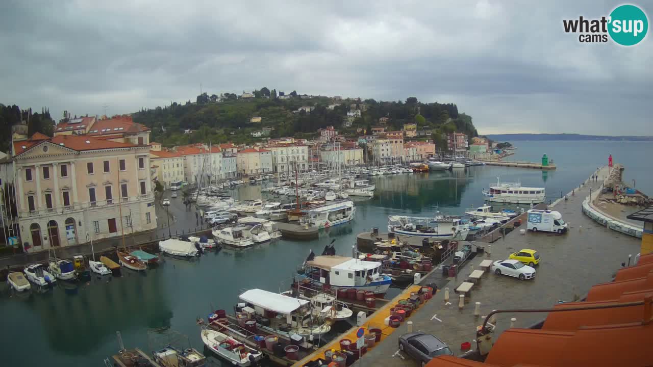 Iz Pirana Spletna kamera v živo “Mandrač” – Neverjeten pogled v živo iz Vile Piranesi