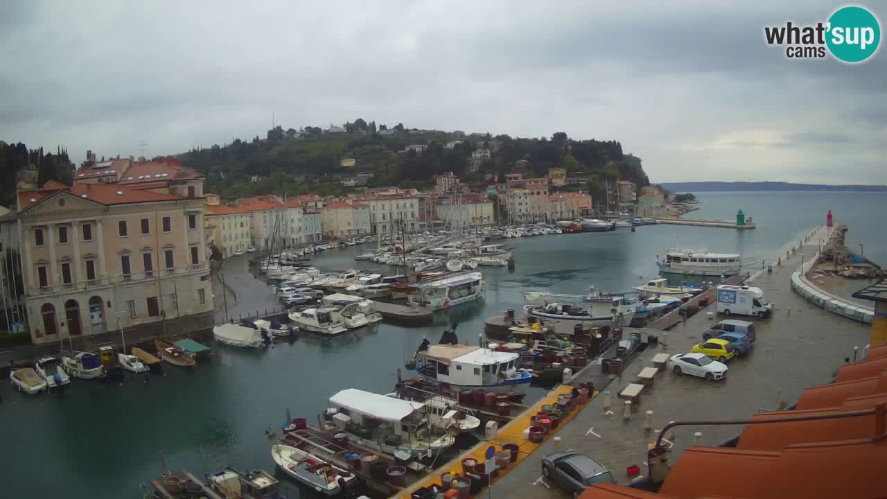 Live webcam from Piran “Mandrač” – Amazing live view from Villa Piranesi